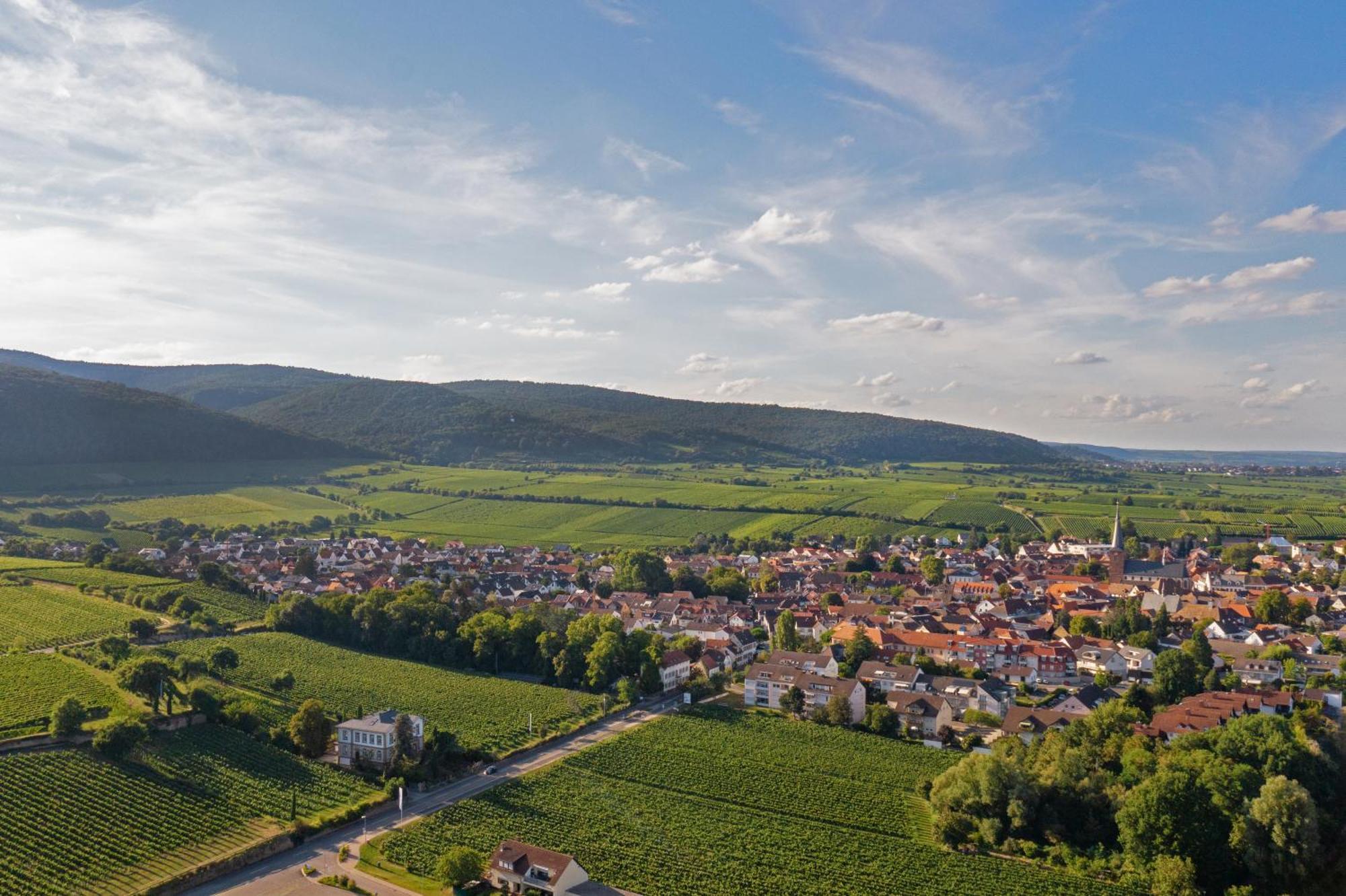 Deidesheimer Haus エクステリア 写真